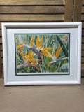 Bird of Paradise Print by Scott Bader; Signed