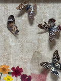 Butterflies & Dried Flower Shadow Box Style Art