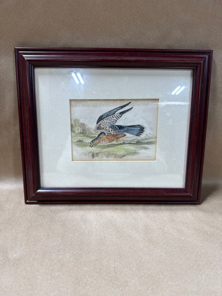 (B) Framed Merlin Bird Print