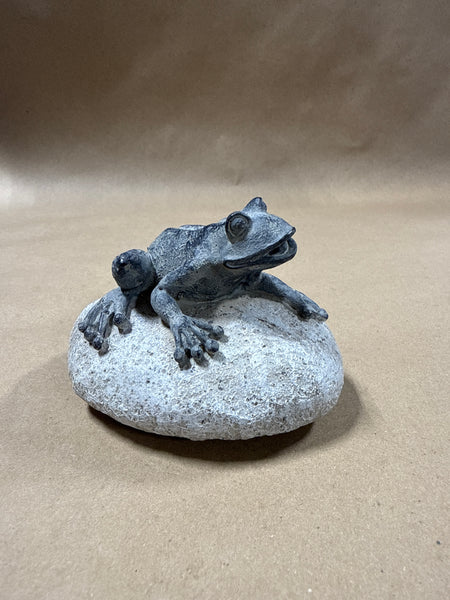 Resin Frog On Stone Decor