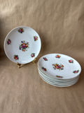 Floral Rosenthal Salad Plates - Set Of 7