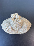 Welcome Pineapple Resin Decorative Key Hiding Rock