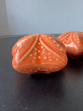 Orange Ceramic Sand Dollar Salt & Pepper Shakers