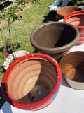 Planter/Pot Lot