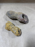 Pair Of Odd Shaped Specimens
