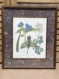 Bombay Company Botanical Print (B) AS IS