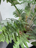 Faux Fern in Crackled Ceramic Pot