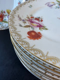 10-Piece Tirschenreuth Bavaria 3810 Old Meissen Floral Salad Plates