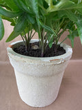 Artificial Potted Plant