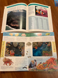 Homeschooling Book Lot E, Oceans & Shells, 5 books