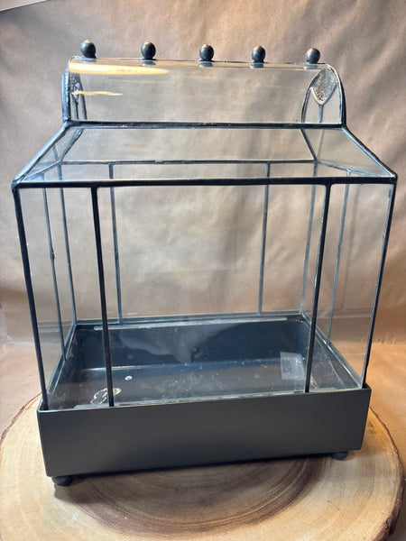 Glass Terrarium