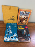 Children's Fiction Book Lot W, 4 books