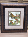 Whimsical Butterfly II Print