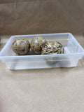 3 Decorative Balls