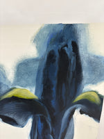 (A) Black Iris Print by Cynthia Nartonis; Signed & Numbered * PRINT ONLY/NO FRAME
