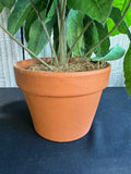 Artificial Umbrella Tree in Terracotta Pot