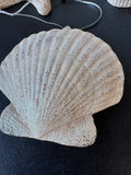 5-Piece Kirklands Heavyweight Glittery Beach Ornaments