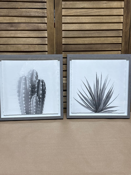 Pair of Cactus Prints