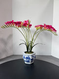 Faux Pink Freesia in Blue & White Chinoiserie Ceramic Pot