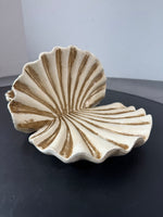 (A) Heavyweight Distressed Resin Seashell Wall Shelf