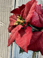 Faux Poinsettia Chistmas Topiary