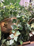Lot Of Artificial Ivy
