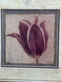 Print of Tulip by P. Murray; Signed