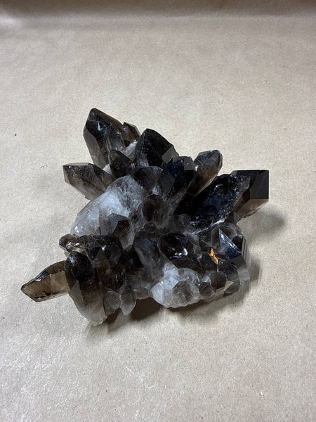 (A) Natural Smokey Quartz Cluster