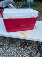 Igloo Red Cooler