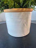 Faux Fern in Glazed Terracotta Pot