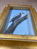 Downy Woodpecker Painting In Gold Frame - Signed