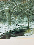 November Snow Photograph by Barbara Gallagher; Signed
