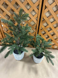 Pair of Faux Christmas Trees in Ceramic Pots, 16"H and 21"H