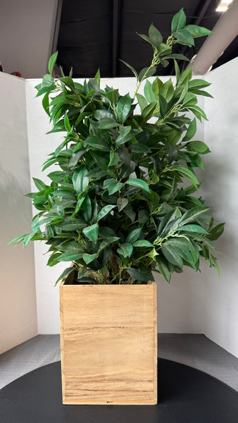 Artificial Bay Leaf Topiary in Wood Box Planter