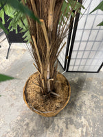 8.5FT Artificial Fish Tail Palm Tree in Basket Planter
