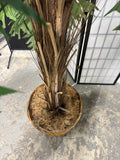 8.5FT Artificial Fish Tail Palm Tree in Basket Planter