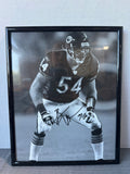 Brian Urlacher #54 Chicago Bears Autographed 8x10 Framed Photo