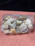 Small Basket Full of Shells Plus an Additional bag of Shells