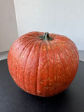 Realistic Resin Pumpkin