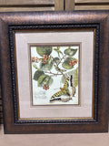 Whimsical Butterfly I Print