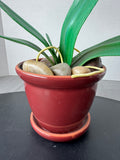 Faux Purple Orchids in Ceramic Pot