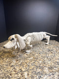 Plastic Dog Skeleton Halloween Decoration