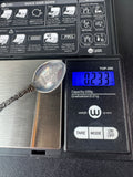 Washington D.C. Sterling Silver Souvenir Spoon