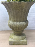 Faux Cement Urn with Greenery