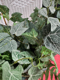 Faux Greenery Arrangement in Italian Terra Cotta Pot