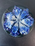 Blue Floral Art Glass Paperweight