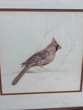 Pair of Male & Female Cardinal Drawings