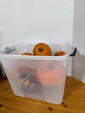 Pumpkin Lot - 10 Piece