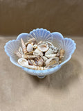 Mosser Opalescent White Glass Berry Sering Bowl Shell Pattern With Shells