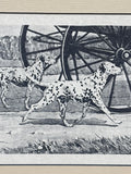 Dalmations Walking Alongside Wagon Print